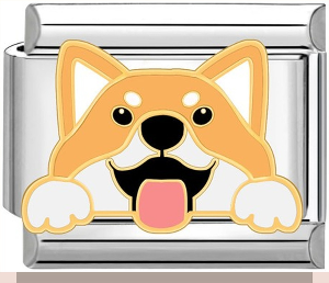Corgi