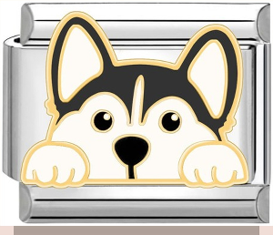 Husky