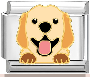 Labrador