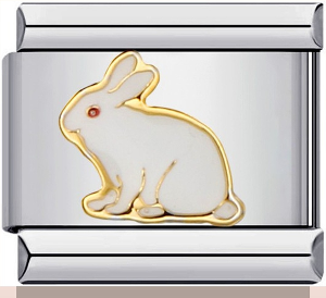 My Bunny