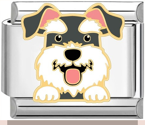 Schnauzer