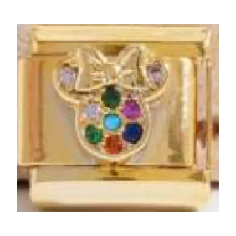 Disneyland charm